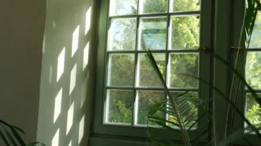 Yeşil palmiye yaprağı desenli soyut arka plan, pencere içinde, ekoloji konsepti. Kapalı alanda güneş ışığı yaprakların arasından süzülüyor. Refah, uyumlu atmosfer egzotik bitki sağlıklı uzayda.