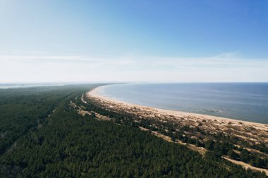Polonya 'da Baltık Denizi' nin kumlu plajlı yeşil ormanlı AERIAL manzaralı İHA. Gdansk Polonya 'daki Sobieszewo adasında doğa rezervi