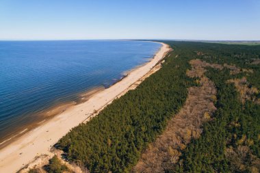 Polonya 'da Baltık Denizi' nin kumlu plajlı yeşil ormanlı AERIAL manzaralı İHA. Gdansk Polonya 'daki Sobieszewo adasında doğa rezervi