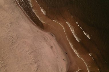 Dalgaların, deniz kıyılarının insansız hava görüntüsü. Kumsallar ve kumullar, sakin deniz dalgaları insansız hava aracıyla ele geçirilen doğa manzarası. Polonya 'da turizm