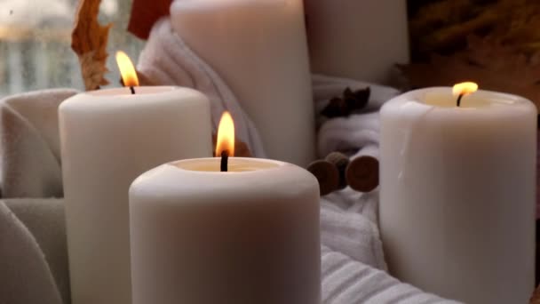 추수감사절 과헬로우 할로윈 컨셉트는 연휴를 스웨터에 향신료 촛불등을 집에서 기념하고 — 비디오