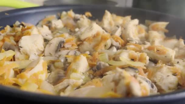 チキンミートとみじん切りしたキノコを熱々のフライパンで間近で見ることができます 玉ねぎと人参ソース煮込み家庭料理やレストラン料理のレシピ — ストック動画