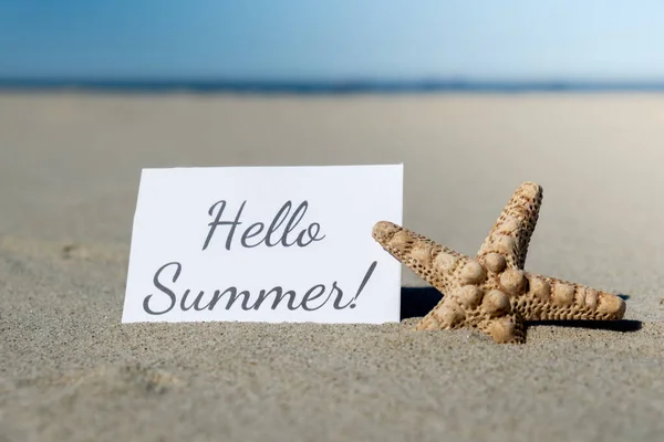 Hello Summer Text Paper Greeting Card Background Starfish Seashell Summer — 스톡 사진