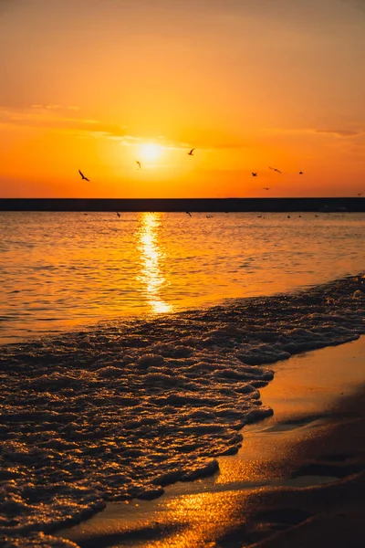 Reflection Sunlight Sea Surface Sunset Orange Gold Blue Sky Scenic — Stock Photo, Image