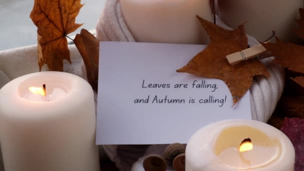 Liście Spadają Autumn Nazywa Tekst Koncepcja Karty Okolicznościowej Świętowanie Jesiennych — Wideo stockowe