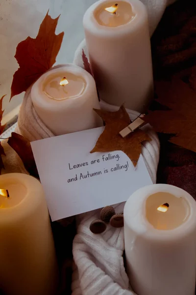 Levelek Hullanak Autumn Hívogató Szöveg Üdvözlő Kártya Koncepció Ünnepelni Őszi — Stock Fotó