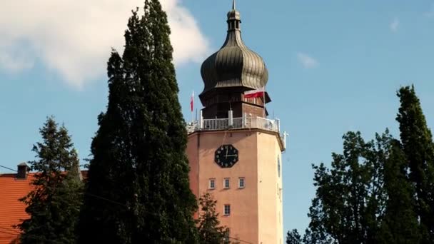 Widok Urząd Miasta Elbląga Wśród Zielonych Drzew Polskie Flagi Wietrze — Wideo stockowe