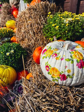 Beautiful painted Pumpkins in flowers rustic hay decoration outdoors. Stylish autumn decor of exterior building. Rural decor on haystack in street. Autumn fall harvest Thanksgiving and Halloween
