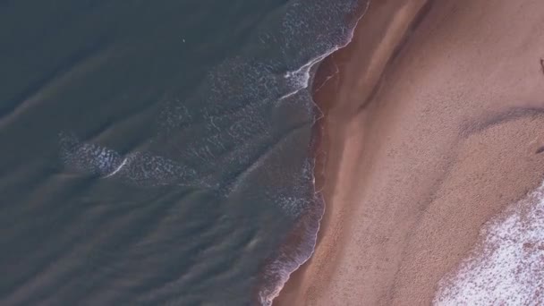 Winter Cold Baltic Sea Snowy Beach Gdansk Aerial View Snow — Wideo stockowe