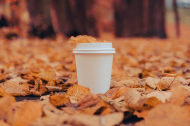 Eko-Sıfır, beyaz kağıt bardakların fotokopisini çek. Sonbahar doğasının yanına gitmek için sonbahar yaprakları ve bir fincan çay. Doğa ile birleştir Cottagecore