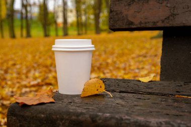 Eko-Sıfır, parktaki ahşap bankta beyaz kağıt bardak fotokopisini çekiyor. Sonbahar doğasının yanına gitmek için sonbahar yaprakları ve bir fincan çay. Doğa ile birleştir Cottagecore