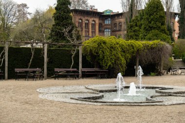 Wroclaw botanik bahçesindeki küçük dekoratif taş çeşmesi. Ahşap banklarla peyzaj tasarımı. Tasarım için doğa konsepti. 