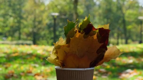 Екологічно Чистий Макет Паперової Чашки Копіювання Простору Осіннє Листя Чашка — стокове відео