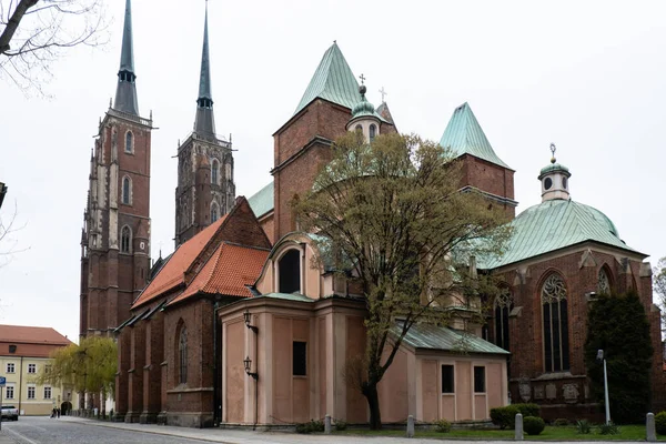 Detalhes Catedral Wroclaw Ilha Tumski Capital Histórica Silésia Europa Prédios — Fotografia de Stock