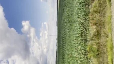 Sarı tarlalarda dikey görüş ve hızlı tren raylarının kenarından bulutlu gökyüzü. POV Tren Treni Treni Rayları Tren perspektifinden görüldü. 