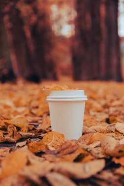 Eko-Sıfır, beyaz kağıt bardakların fotokopisini çek. Sonbahar doğasının yanına gitmek için sonbahar yaprakları ve bir fincan çay. Doğa ile birleştir Cottagecore