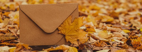 Empty Earth Tones Envelope Mock Colorful Falling Autumn Leaves Template — Stock Photo, Image