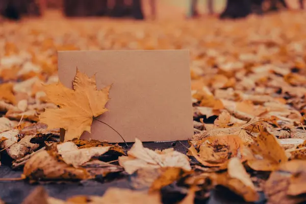 Prázdné Zeminy Tóny Obálky Vysmívají Kolem Barevných Podzimních Listů Šablonová — Stock fotografie