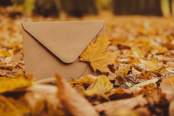 Prázdné Zeminy Tóny Obálky Vysmívají Kolem Barevných Podzimních Listů Šablonová — Stock fotografie