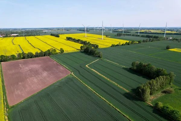 農村部の曇った青空に対して 芝生の黄色い農場のカノーラ畑の風力タービン オフショア風車公園 農地ポーランドヨーロッパの雲 発電する風力発電所 — ストック写真