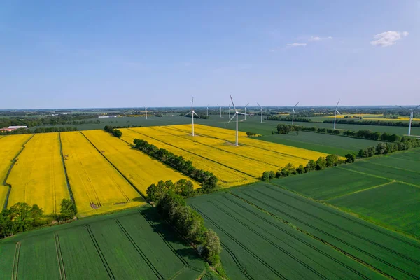 農村部の曇った青空に対して 芝生の黄色い農場のカノーラ畑の風力タービン オフショア風車公園 農地ポーランドヨーロッパの雲 発電する風力発電所 — ストック写真