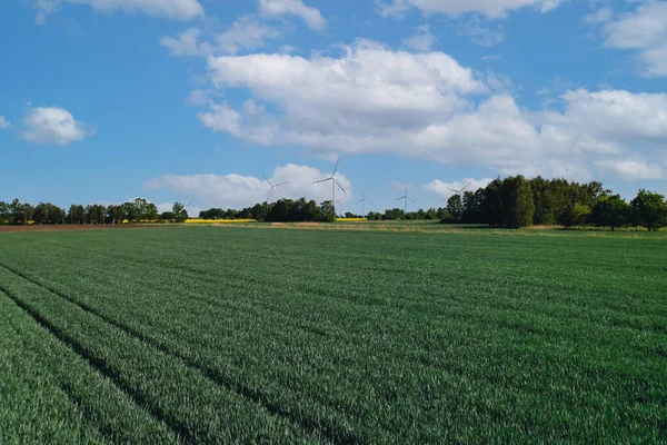農村部の曇った青空に対する草の緑地の風力タービン オフショア風車公園 農地ポーランドヨーロッパの雲 発電する風力発電所 再生可能な緑クリーン — ストック写真
