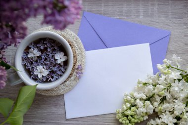 Boş zarf kağıdının fotokopisini çek. Beyaz bardakta siyah çay ve aromatik leylak çiçekleri olsun. Bahar kompozisyonu bir fincan leylak çayı içerken mor leylak dalları çiçek açar.