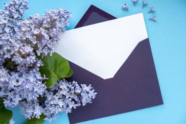 Boş mor zarflı kompozisyon ve mavi arka planda güzel bahar leylak çiçekleri. Mockup kart davetiyesi tebrik kartı posta kartı kopyalama alanı şablonu boş. Çiçek açan leylak dalları