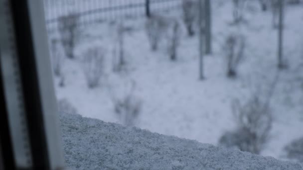 Экстремальный Снегопад Между Деревьями Время Сильного Снегопада Зимнем Городе Холодным — стоковое видео