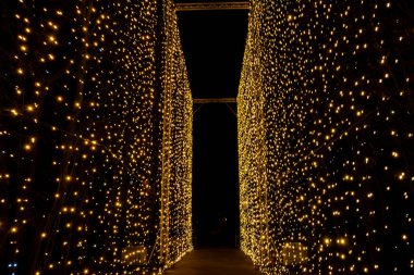 Oliva Park Gdansk Polonya 'da tatil süsleri yakıldı. Geceleri güzel bir Noel panayırı. Avrupa 'da kış uykusuna yatmış. Aralık 'taki Noel Pazarı Kutlama için süslendi 