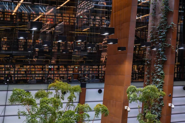 Public Library architecture bookcase Indoor trees Modern interior design of library in European Solidarity Centre Gdansk Poland. Biophilia design connecting with nature green areas. Modern abstract