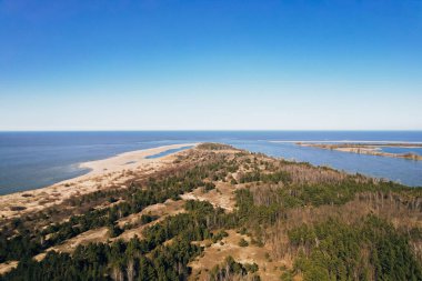 Nehrin insansız hava aracı denize iniyor. Vistula Nehri Deltası Sobieszewo Gdansk Polonya 'daki Baltık Denizi' ne gider. Nehir çevresindeki orman ve küçük köy