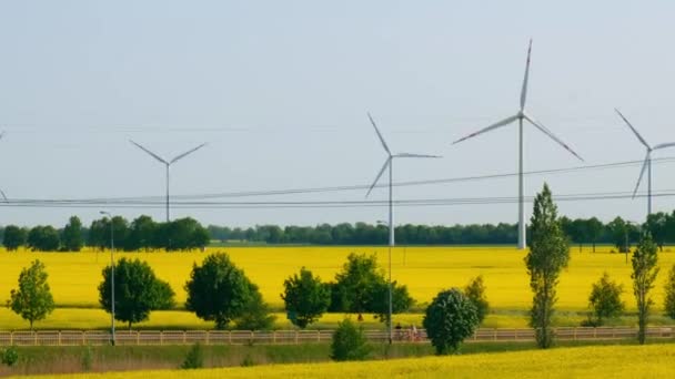 农村地区青草黄菜田上的风力涡轮机与乌云蓝天的对比 气候友好型可再生能源的概念 风力发电厂发电 可再生绿色清洁 — 图库视频影像