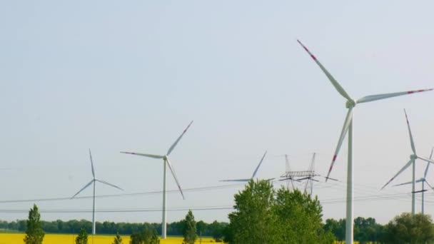 农村地区青草黄菜田上的风力涡轮机与乌云蓝天的对比 气候友好型可再生能源的概念 风力发电厂发电 可再生绿色清洁 — 图库视频影像
