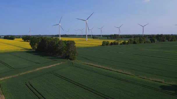 Vista Aérea Usina Eólica Geradora Eletricidade Energia Limpa Verde Renovável — Vídeo de Stock