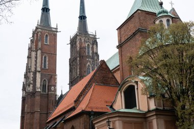 Tumski Adası 'ndaki Wroclaw Katedrali' nin detayları. Silezya 'nın tarihi başkenti, Avrupa. Belediye binası mimari binaları. Eski kasaba katedralleri kilisesi. Seyahat yeri 