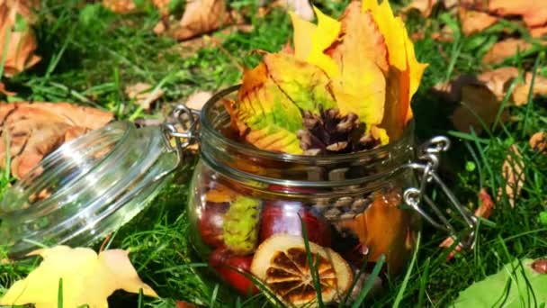 森林里有秋天叶子的玻璃瓶 五彩缤纷的秋天 色彩艳丽的红绿橙叶 硕大的松果 褐色栗子和玻璃瓶 季节性的装饰 温暖的自然色彩 — 图库视频影像