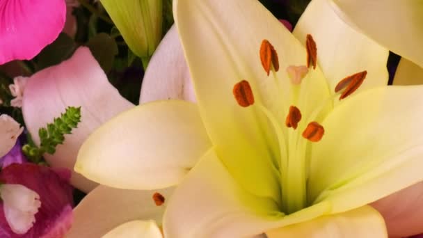 Białe Lilie Piękny Świeży Bukiet Lilie Bujne Zielonymi Liśćmi Delikatnymi — Wideo stockowe