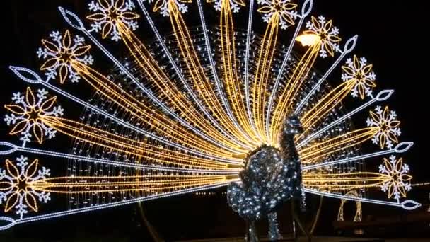 Peacock Holiday Beleuchtete Dekorationen Oliva Park Danzig Polen Schöner Weihnachtsmarkt — Stockvideo