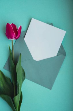 Mavi arka planda güzel pembe laleli metin ya da tasarımın için boş beyaz zarf kopyalama alanı. Tatil bahar tebrik kartı için şablon oluşturun. Üst Görünüm Düz Kağıt Kadın Konsepti