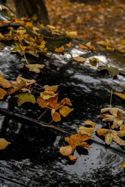 Barevné Podzimní Listí Autě Pohled Podzimním Listím Lesích Parku Zlaté — Stock fotografie