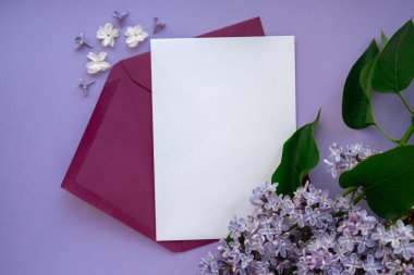 Boş mor zarflı kompozisyon ve mor arka planda güzel bahar leylak çiçekleri. Mockup kart davetiyesi tebrik kartı posta kartı kopyalama alanı şablonu boş. Çiçek açan leylak dalları