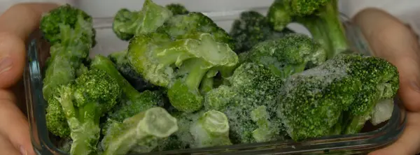 Mujer Irreconocible Mostrando Cámara Congelados Alimentos Floretes Brócoli Casero Concepto —  Fotos de Stock