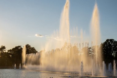 Wroclaw, Polonya 'daki Centennial Hall' da Multimedia Fountain. Polonya 'nın en büyük çeşmesi ve Avrupa' nın en büyük çeşmelerinden biri. Güneş ışığı suyu sıçrıyor. Güzel mimari çeşmesi. Seyahat hedefi