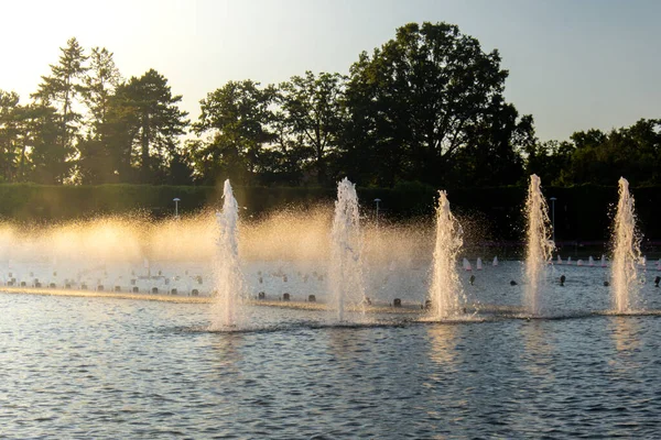 Wroclaw, Polonya 'daki Centennial Hall' da Multimedia Fountain. Polonya 'nın en büyük çeşmesi ve Avrupa' nın en büyük çeşmelerinden biri. Güneş ışığı suyu sıçrıyor. Güzel mimari çeşmesi. Seyahat hedefi