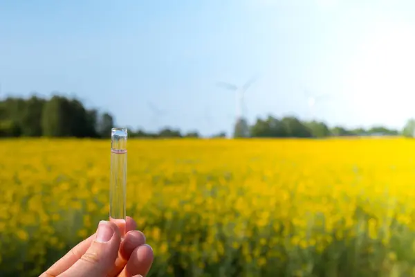 Hand holding test tube with liquid on background of canola flowers field blooming farm. Rapeseed oil over natural background. Farmer soil sample in tube chemical analysis ph test. Agrochemical