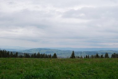 Karlı dağlar, Zakopane Polonya 'daki yeşil ormanlar. Dağ doğa manzarası. Mavi gökyüzü. Doğal yeşil turizm konseptiyle seyahat edin. Yürüyüş refahı 