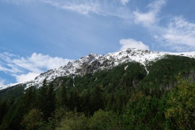 Karlı dağlar, Zakopane Polonya 'daki yeşil ormanlar. Dağ doğa manzarası. Mavi gökyüzü. Doğal yeşil turizm konseptiyle seyahat edin. Yürüyüş refahı 