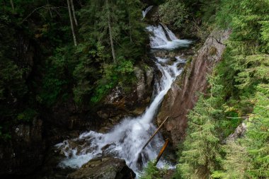 Dar yol, güneşli bir günde ormandaki nehir suyu deresi olan yeşil ağaçlara çıkıyor. Yeşil yaprak döken ağaçların arasında karanlık, boş, gizemli bir geçit. Idyllic manzara. Woodland yürüyüş yolu Karanlık Orman