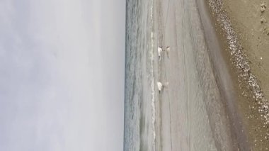 Baltık Denizi Koyu mavi bulutlar ve deniz veya okyanus su yüzeyinde fırtınadan önce köpük dalgaları, dramatik deniz manzarası. İnanılmaz gün batımı. Soyut doğal desen dokusu.